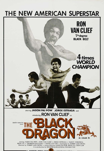 The Black Dragon (Xia Nan Yang)