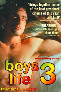Boys Life 3 - Poster / Capa / Cartaz - Oficial 1