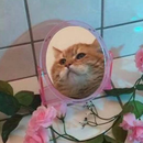 Foto de perfil de Gabriella