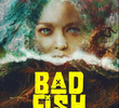 Bad Fish