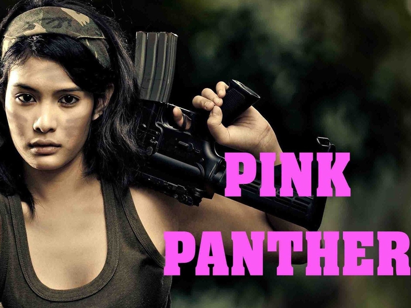 Foto 1 de Pink Panther