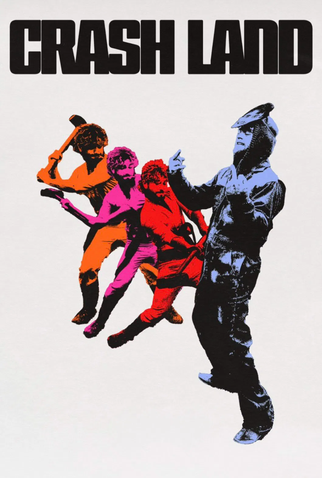 Poster 1 de Filme Crash Land (2027)