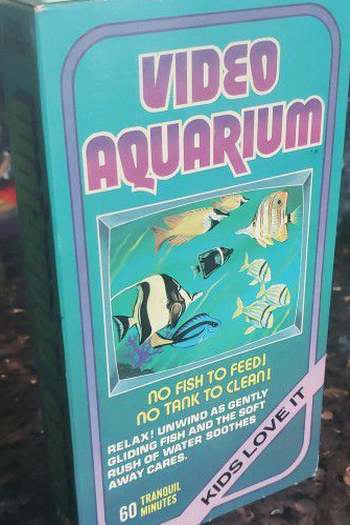 Poster de Filme Video Aquarium (1982)