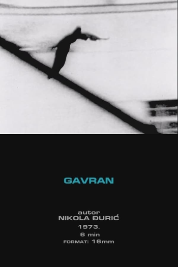 Poster de Curta Corvo (1973)