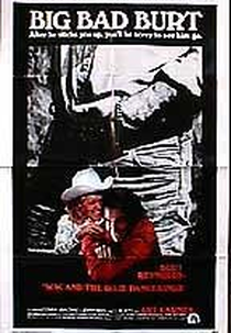 W.W. e  Dixie (W.W. and the Dixie Dancekings)