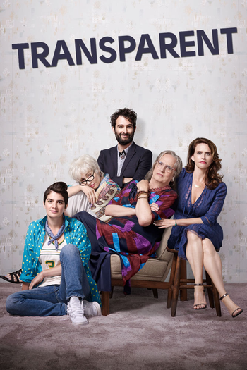 Poster de Franquia Transparent (2014)
