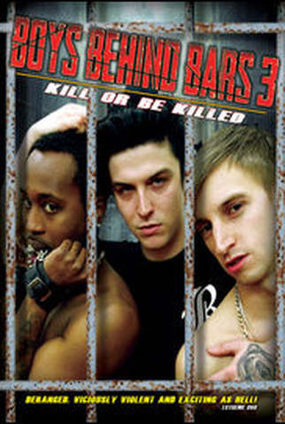 Poster 1 de Filme Boys Behind Bars 3 (2015)