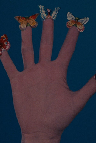 Poster 1 de Curta Some Butterflies (1975)