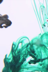 Processo Criativo (Processo Criativo)