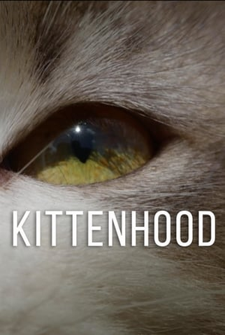 Poster 1 de Filme Kittenhood (2015)