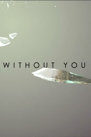 Poster de Franquia Without You (2011)
