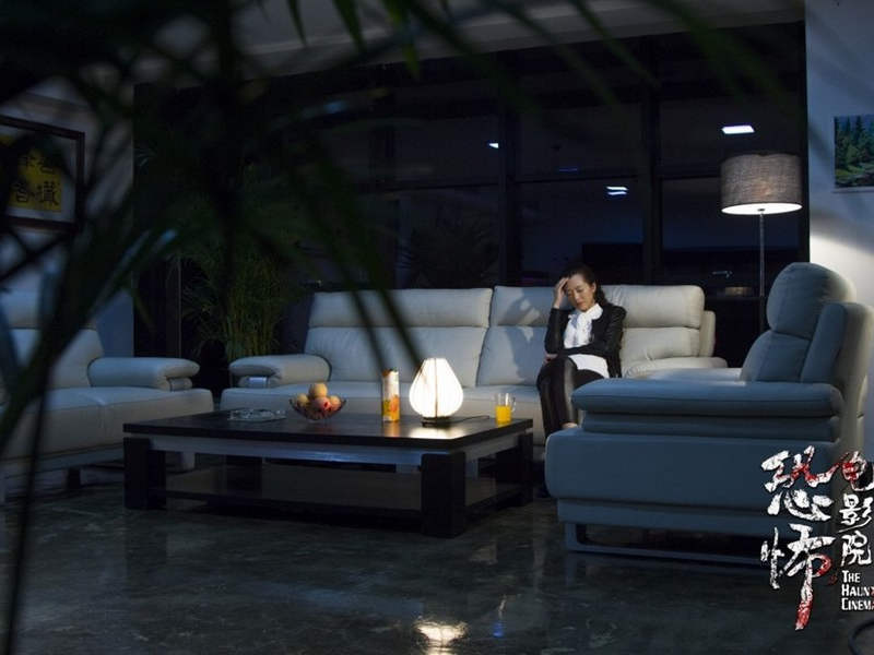 Foto 2 de The Haunted Cinema