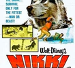 Nikki - O Cão Selvagem do Norte