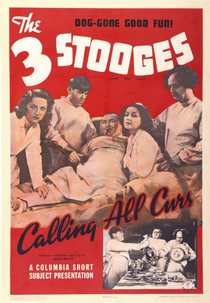 Isso é uma Cachorrada (Calling All Curs)