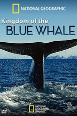 O Reino da Baleia Azul (Kingdom of the Blue Whale)