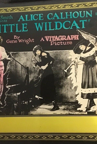 Poster 2 de Filme Little Wildcat (1922)