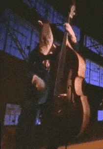 Primus: Mr. Krinkle (Primus: Mr. Krinkle)