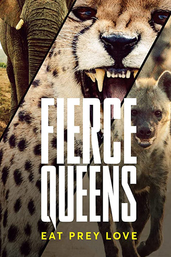 Poster de Franquia Fierce Queens (2020)