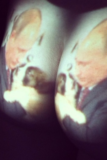 Poster de Curta Y (2013)