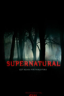 Sobrenatural (8ª Temporada) - Poster / Capa / Cartaz - Oficial 2