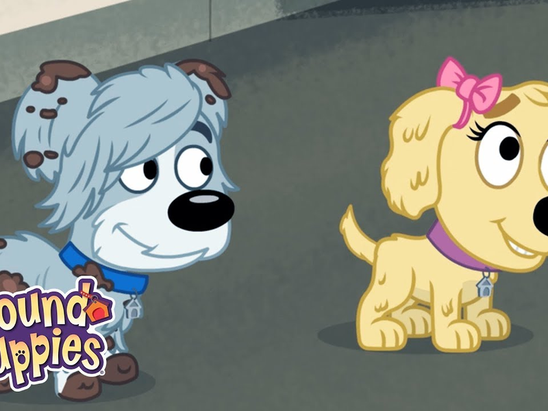 Foto 6 de Cãezinhos do Canil