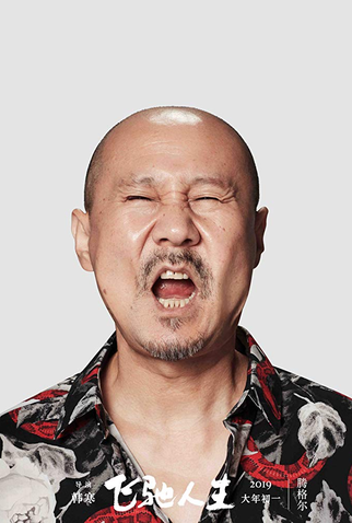 Poster 20 de Filme Pegasus (2019)