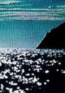 Com o Oceano Inteiro Para Nadar (Com o Oceano Inteiro Para Nadar)