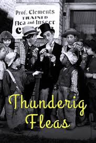 Poster 2 de Curta Thundering Fleas (1926)