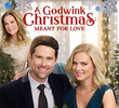 A Godwink Christmas: Meant for Love