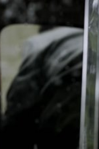 Poster de Episódio Neverland (2014)