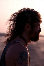 Linz - Quando Todos os Acidentes Acontecem (Linz - Quando Todos os Acidentes Acontecem)