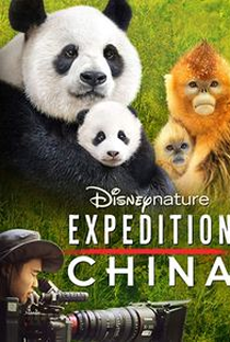 Expedição China - Poster / Capa / Cartaz - Oficial 1
