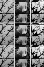 Tree Dance (Tree Dance)