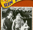 As Aventuras de Rin Tin Tin