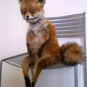 Foto de perfil de Ana Gabriela