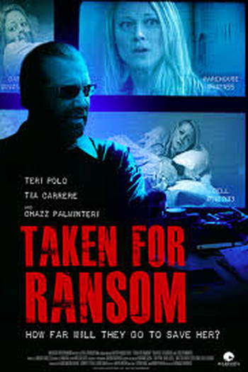 Poster de Filme Final Recourse (2013)