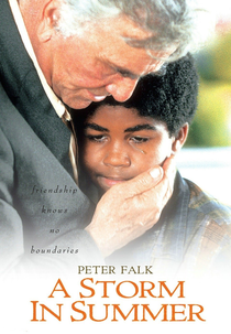 Um Verão Diferente (A Storm In Summer)