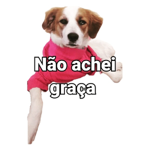 Foto de perfil de DUDE do Filmow