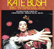 Kate Bush at the BBC