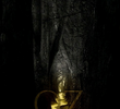 Oz