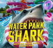 Water Park Shark
