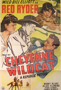 O Gato Selvagem - Poster / Capa / Cartaz - Oficial 2