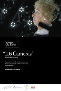 116 Cameras - Poster / Capa / Cartaz - Oficial 1