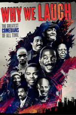 Why We Laugh: Black Comedians on Black Comedy (Why We Laugh: Black Comedians on Black Comedy)