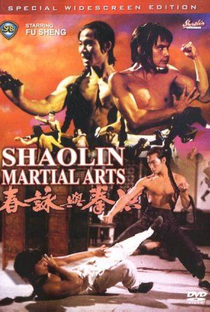 As Artes Marciais de Shaolin - Poster / Capa / Cartaz - Oficial 1
