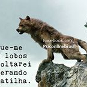 Foto de perfil de Bruno