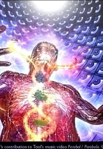 Tool: Parabola (Tool: Parabola)