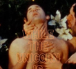 While the Unicorn is Watching Me