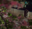 第19集