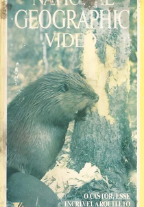 National Geografic -  O Castor, Esse Incrível Arquiteto (Rocky Mountain Beaver Pond)